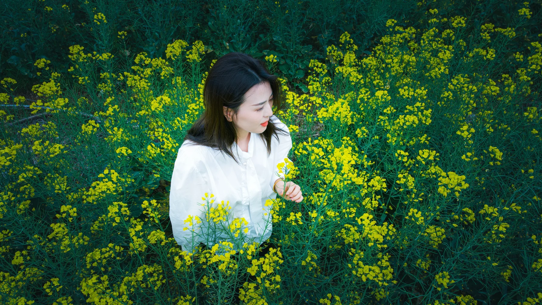 Lina surrounded by a field of small yellow flowers
